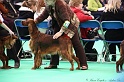 Crufts2011 252
